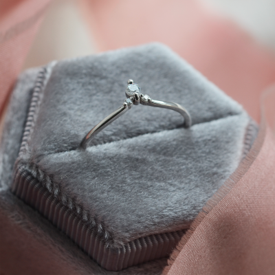 Fine goold ring with diamonds JANIS